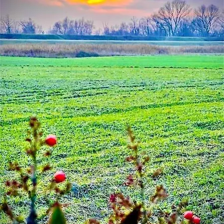 Casetta Rossa Nel Parco Del Delta Del Po Holiday home